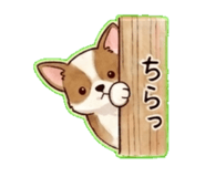 841551241