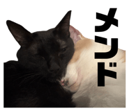 841551324