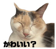 841551332