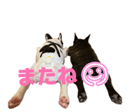 841551502