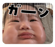 841551537