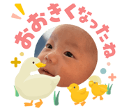 841551589