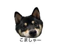 841551938