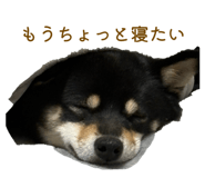 841551942