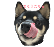 841551944