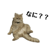 841552011