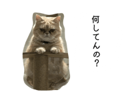 841552012