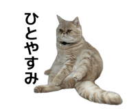 841552014
