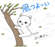 841554303