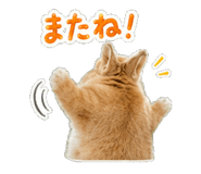 841554441