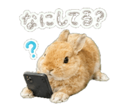 841554442