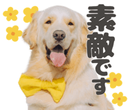841554527
