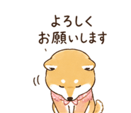 841554651