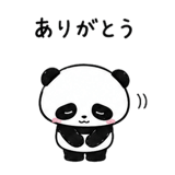 841556036