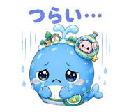 841556206