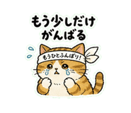 841556307