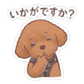 841557043