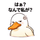841558062