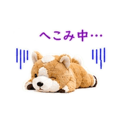841558372