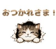 841558884