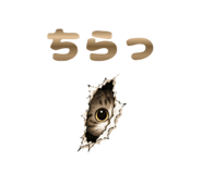 841558891