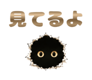 841558894