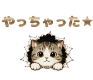 841558896