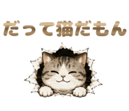 841558898