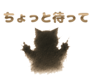 841558900