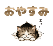 841558902