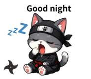 841560377