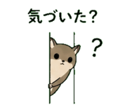841561115