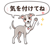 841562023