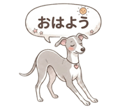 841562028
