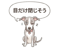 841562032