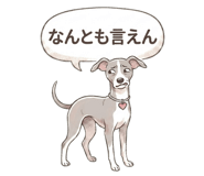 841562033