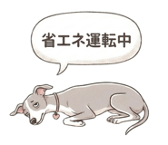 841562035