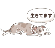 841562036