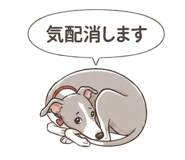 841562040