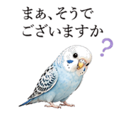 841562111
