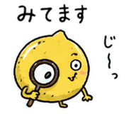 841562371