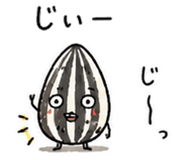841562372