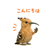 841563557