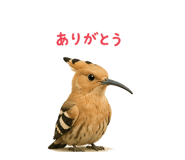 841563564