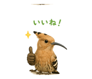 841563567