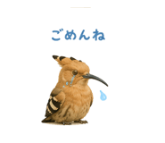 841563573