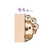 841563911