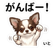 841563956