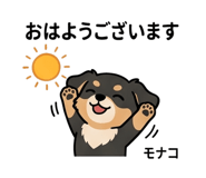 841564337