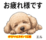 841564370